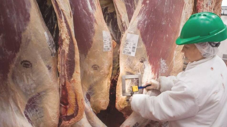 exportacion carne a México foto Na