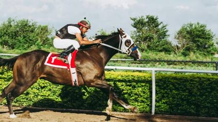 Jinete, carrera de caballos. Foto: Pexels