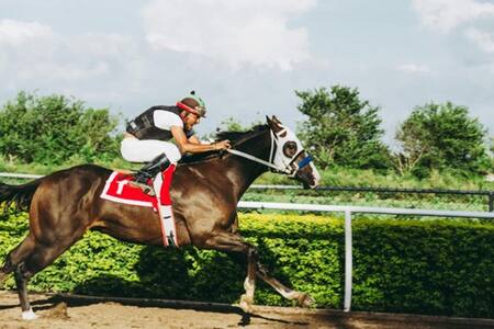Jinete, carrera de caballos. Foto: Pexels