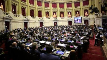 Debate en Diputados, Congreso, foto NA