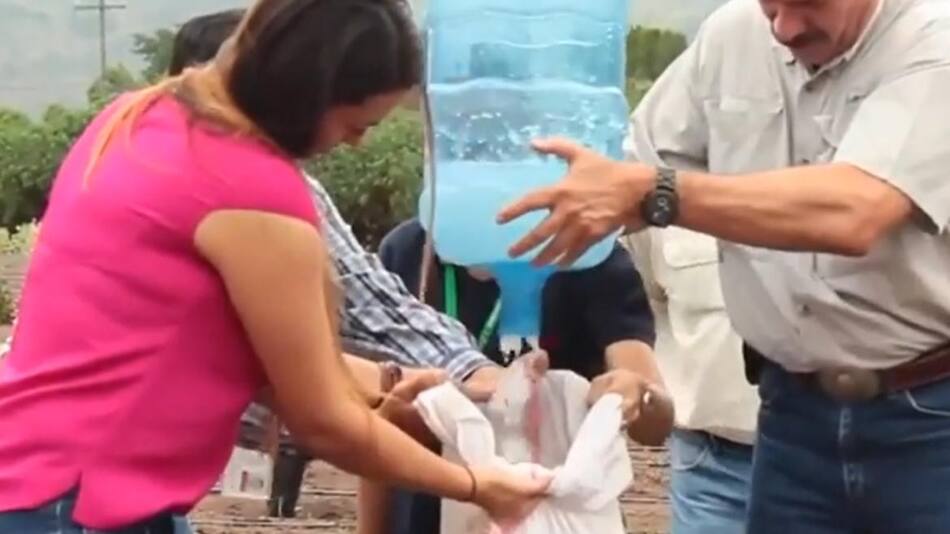 "Lluvia sólida". Foto: captura de video.