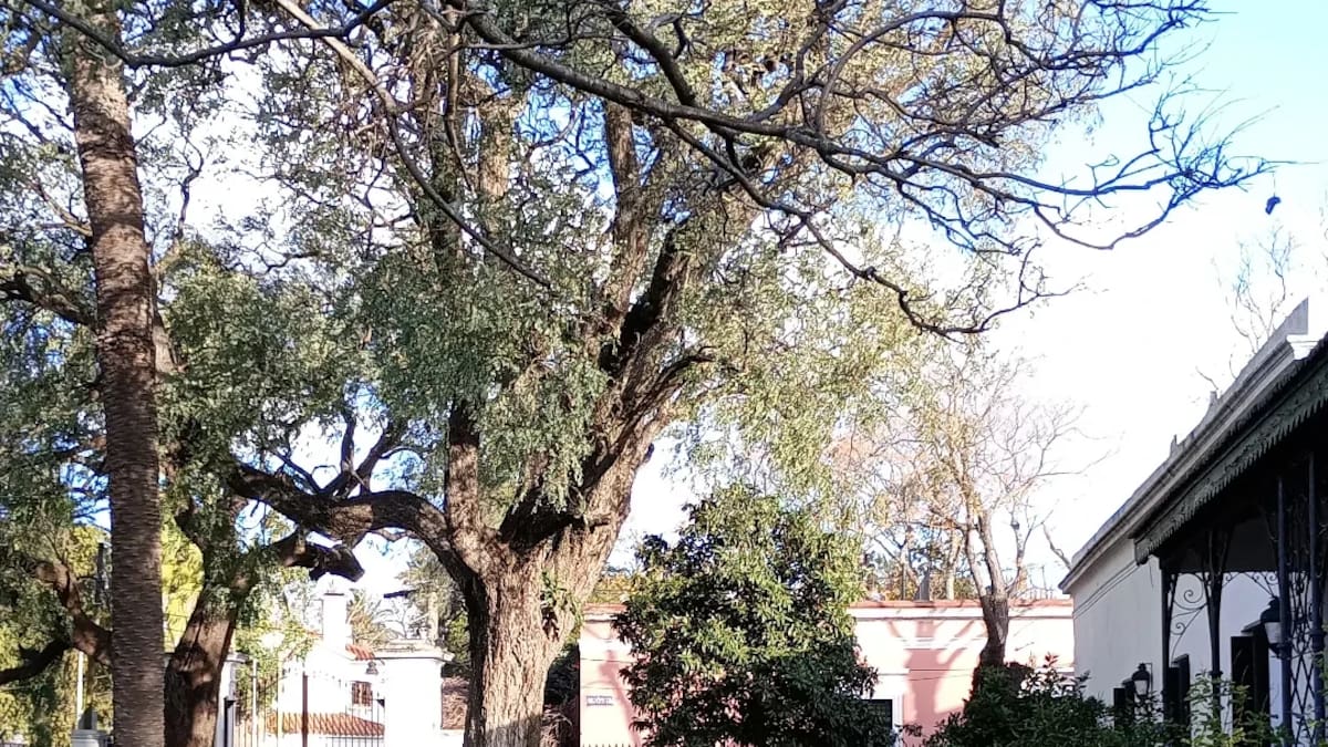 Tiene más de 300 años, siete salas y una barranca convertida en parque natural: cómo es la quinta bonaerense vinculada a San Martín y Belgrano