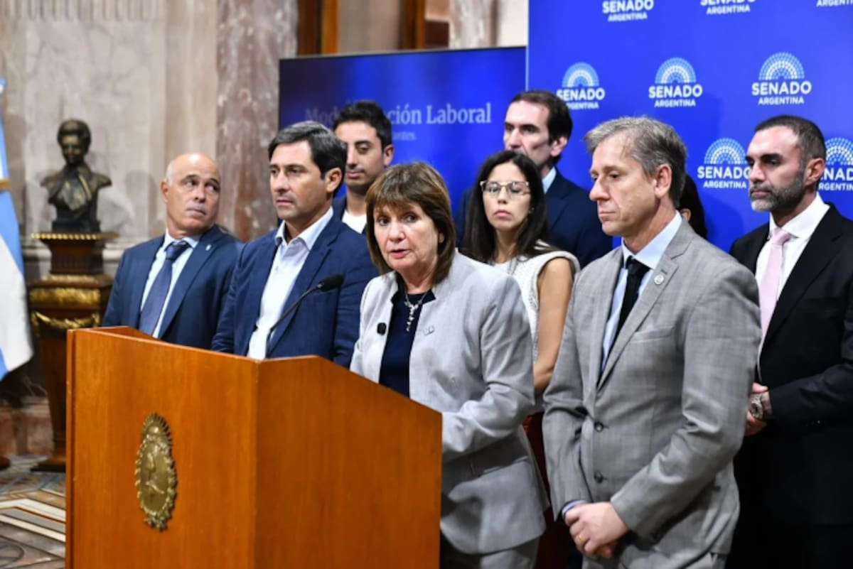 Patricia Bullrich y senadores de La Libertad Avanza.