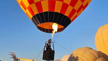 Llega el “Buenos Aires Flota 2025”: el festival de globos aerostáticos más esperado de Sudamérica