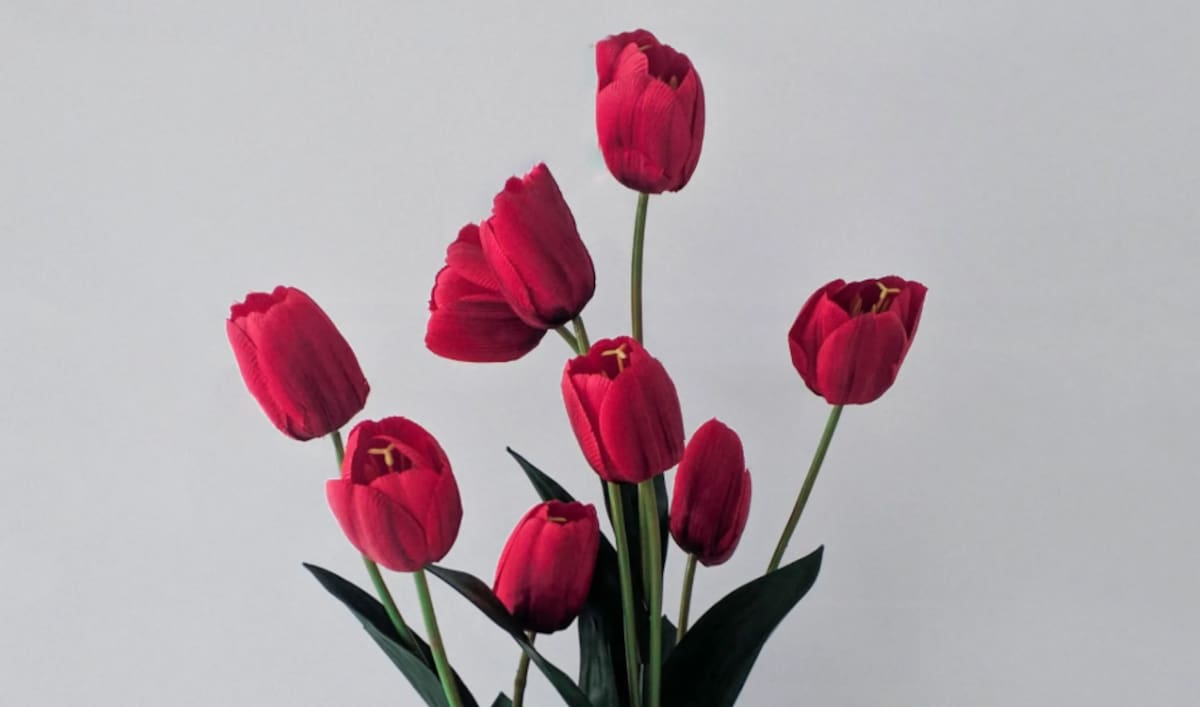 Flores ideales para espacios interiores
