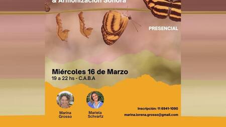 TALLER DE CONSTELACIONES FAMILIARES Y ARMONIZACION SONORA