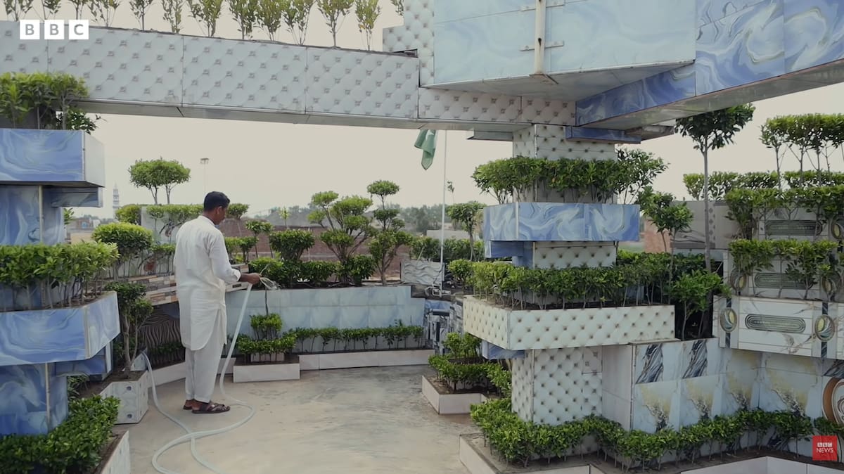 Pulmón verde; Pakistán; casa; hogar; plantas.