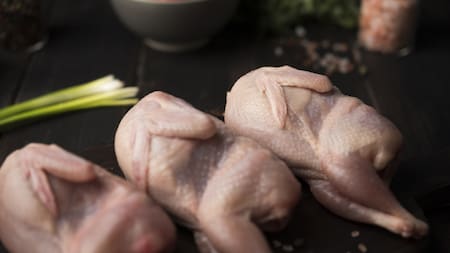 Qué significa la baba que se le forma al pollo. Foto Freepik.