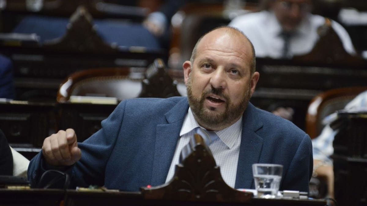 Carlos D'Alessandro, diputado nacional.
