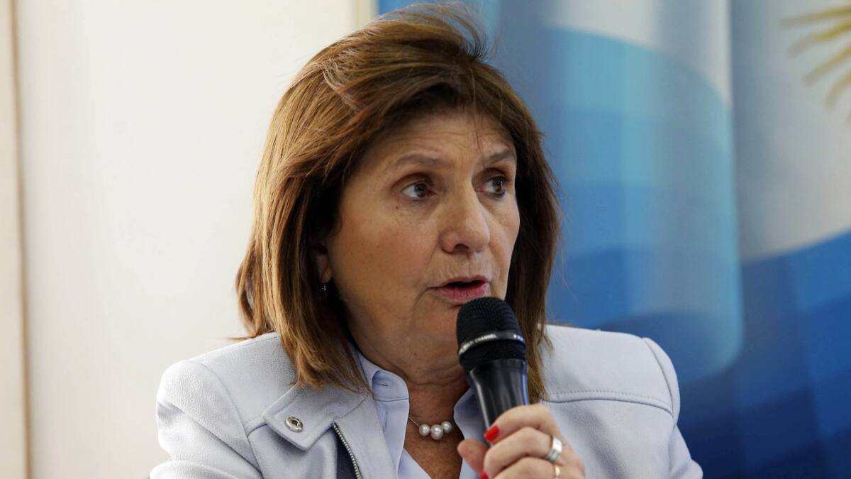 Anuncio de Patricia Bullrich. Foto: NA.