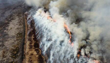 Incendios en el Delta. Foto: NA.