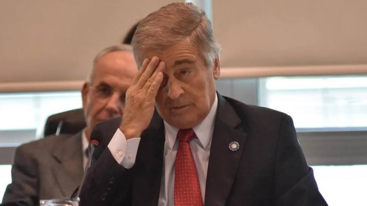 Oscar Aguad, ex ministro de Defensa. Foto: NA