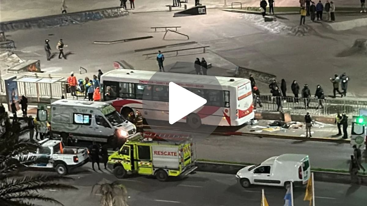 Un colectivo se subió a la rambla de Mar del Plata.