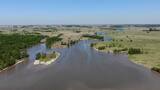 Ni Carlos Keen ni San Antonio de Areco: el pueblo con un “bosque encantado” ideal para un fin de semana en familia