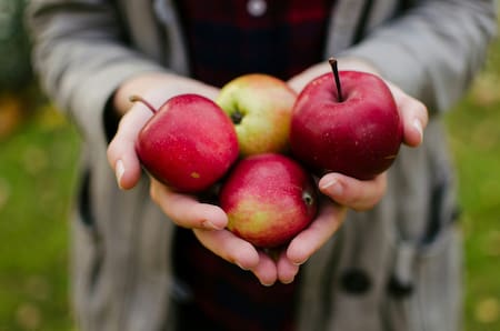 Manzana, fruta, nutrientes. Foto: Unsplash