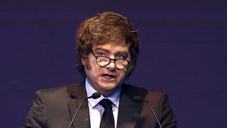 Javier Milei. Foto: Reuters/Agustín Marcarian.