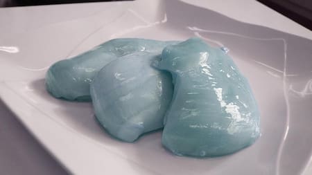 Pollo del reto tiktoker "Sleepychicken". Foto: TikTok