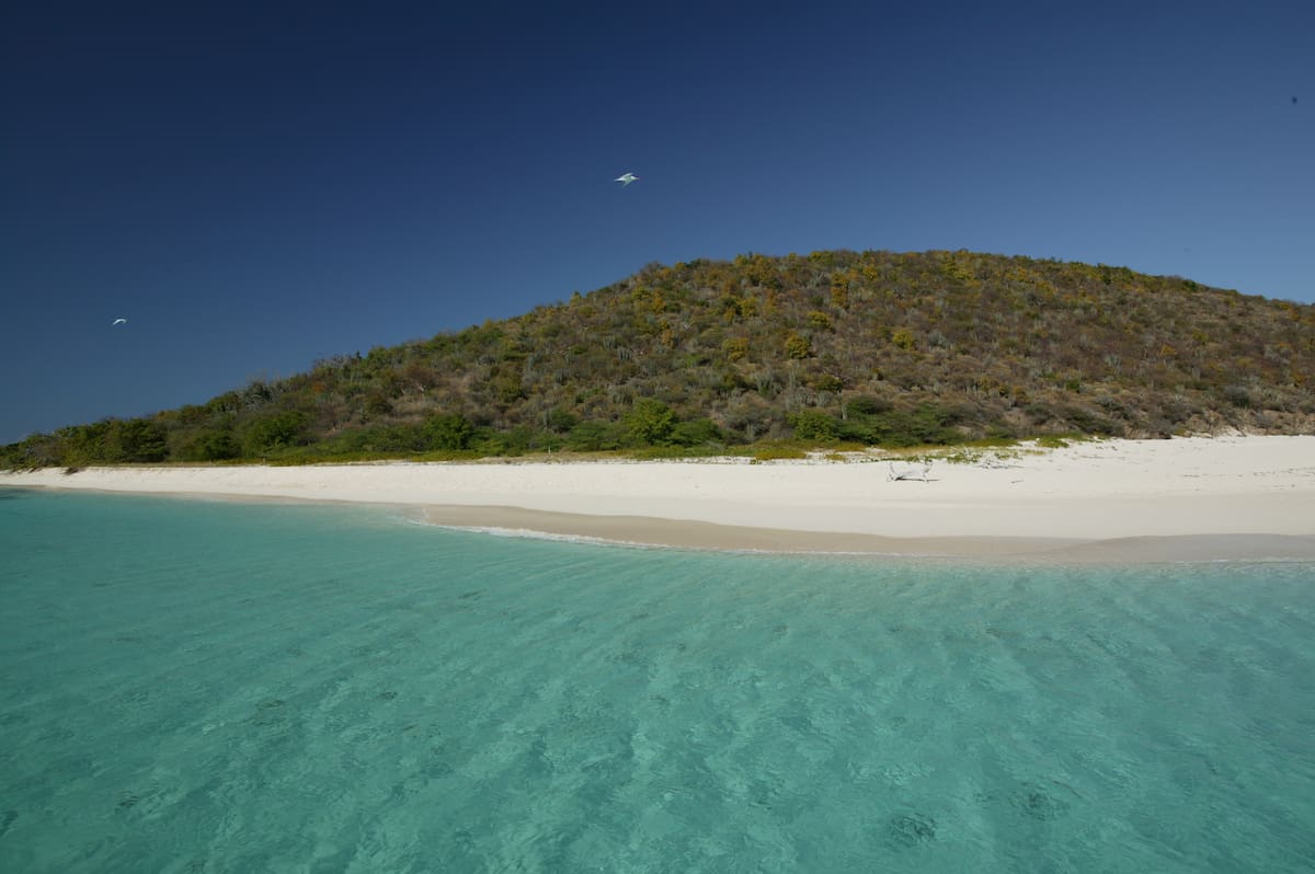 Buck Island