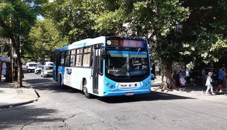 Línea 338. Fuente: X @NiatoLeproso