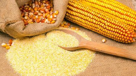 Harina de maíz, Anmat