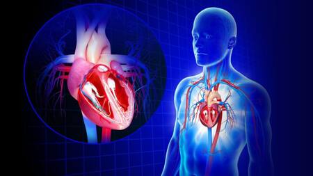 Medicina cardiovascular - Cardiología - Pacientes cardiológicos - Salud