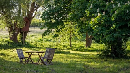 Jardín en primavera.