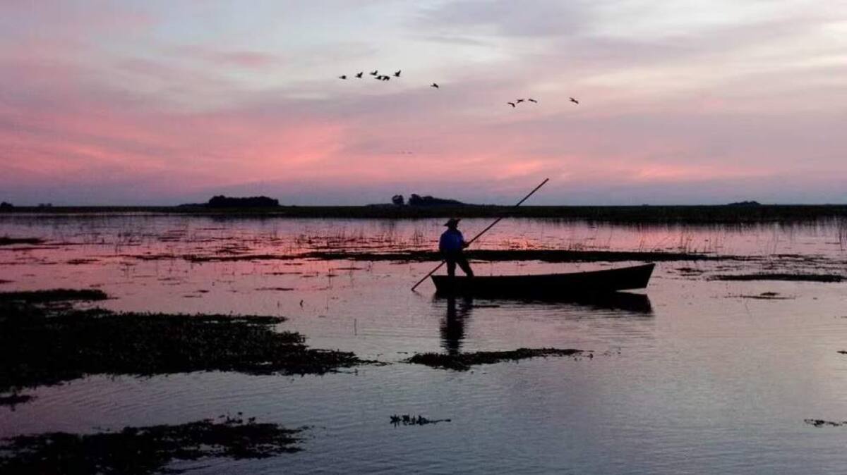 Los Esteros del Iberá en Corrientes. Foto: X
