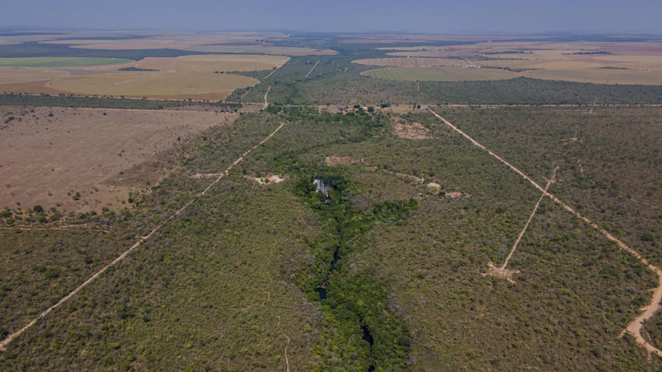 Deforestación en el Cerrado, Brasil. Foto: EFE.