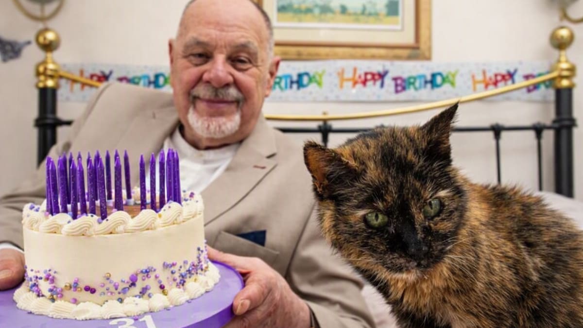 Millie tiene 31 años, una alimentación muy particular y podría convertirse en la gata viva más longeva del mundo si Guinness valida su edad.