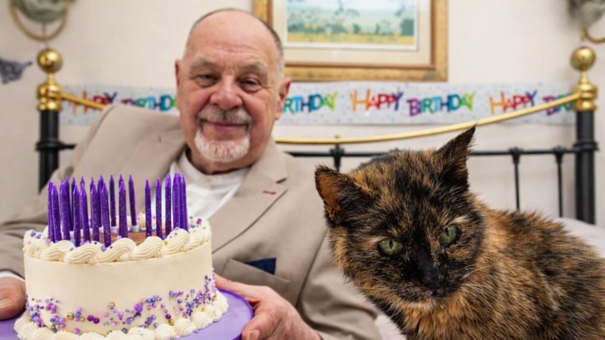 Tiene 31 años, vive como una reina y va por un récord Guinness: Millie, la gata que podría convertirse en la más longeva del mundo