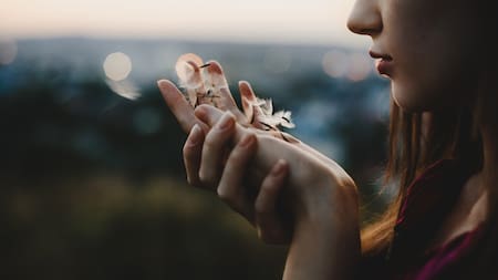 Renacer, horóscopo. Foto: Freepik