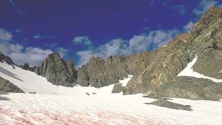 Nieve de Sandia. Foto: Wikipedia, Paul Wade.
