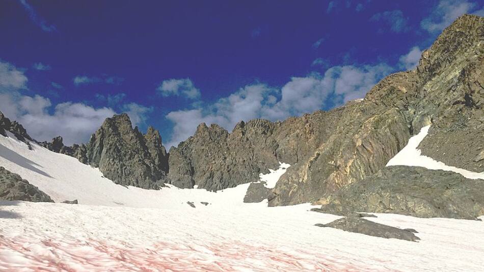 Nieve de Sandia. Foto: Wikipedia, Paul Wade.