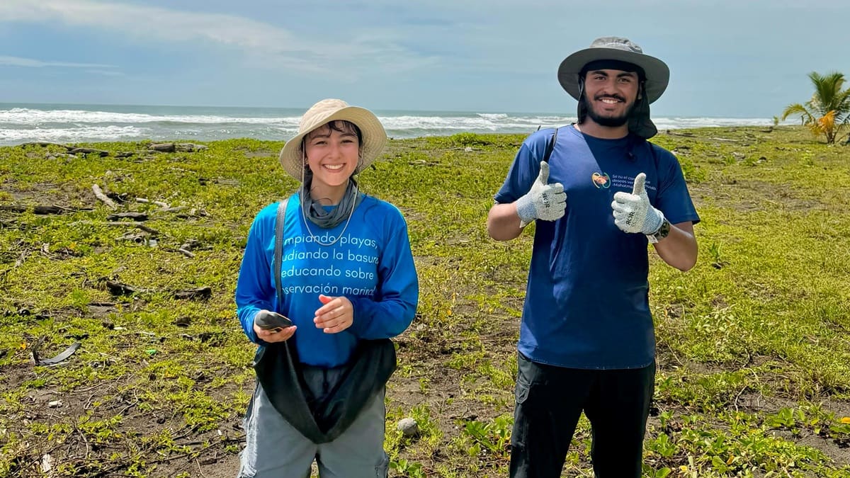 Buscan voluntarios para trabajar hasta 7 horas por día: ofrecen alojamiento y 3 comidas diarias en una playa caribeña de Costa Rica