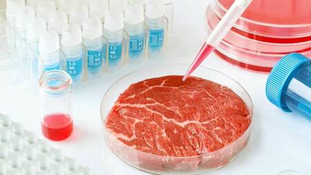 Italia prohíbe la comercialización de alimentos sintéticos. Foto Twitter @elnuevodiariord.