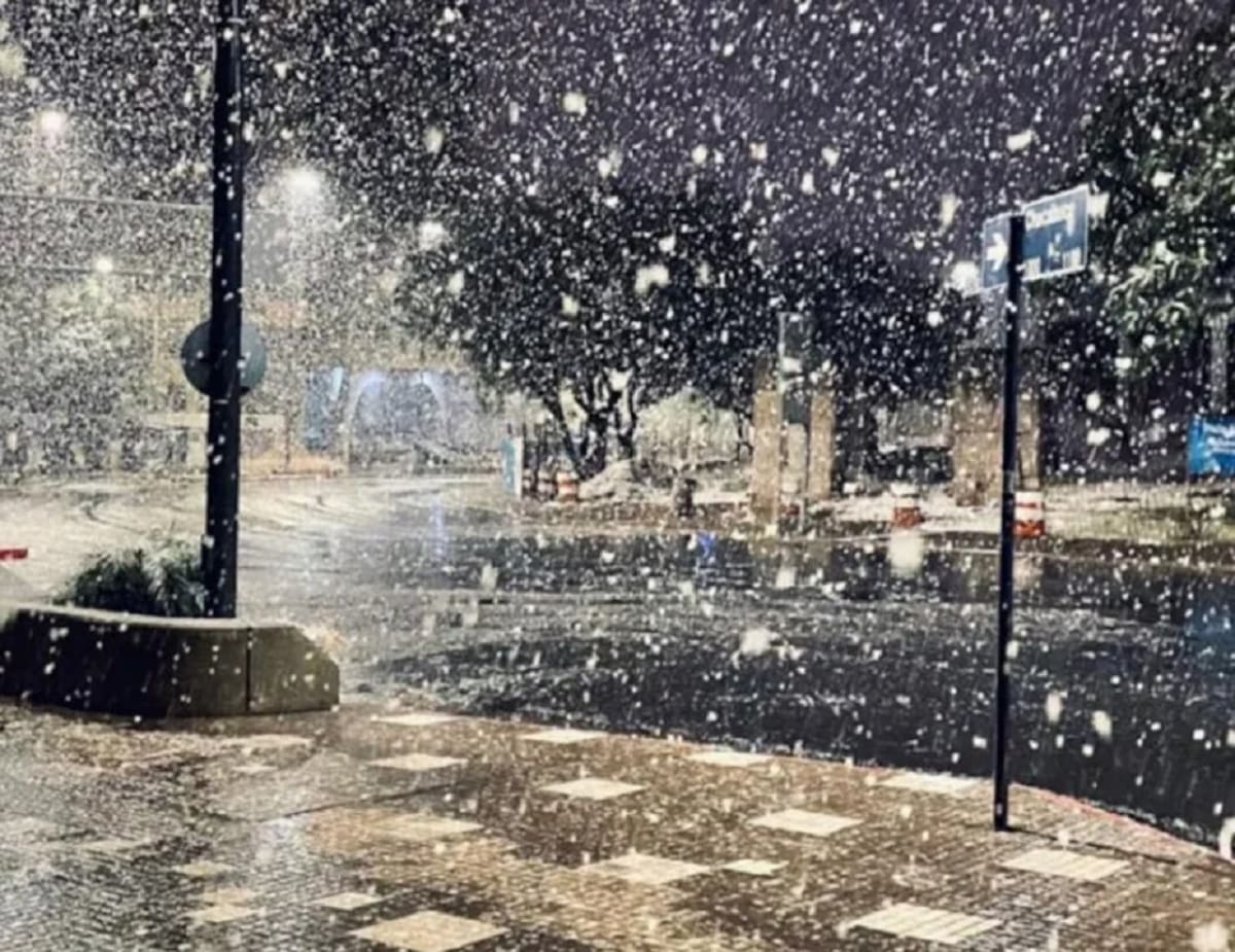 Nieve en Buenos Aires. Foto: NA.