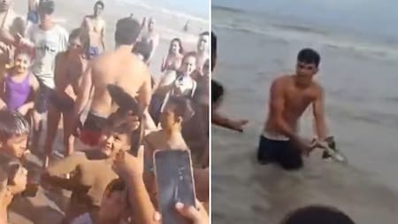 Apareció un tiburón bebé en Santa Teresita. Video: NA
