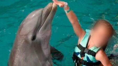 Ataque de delfín a nena en México