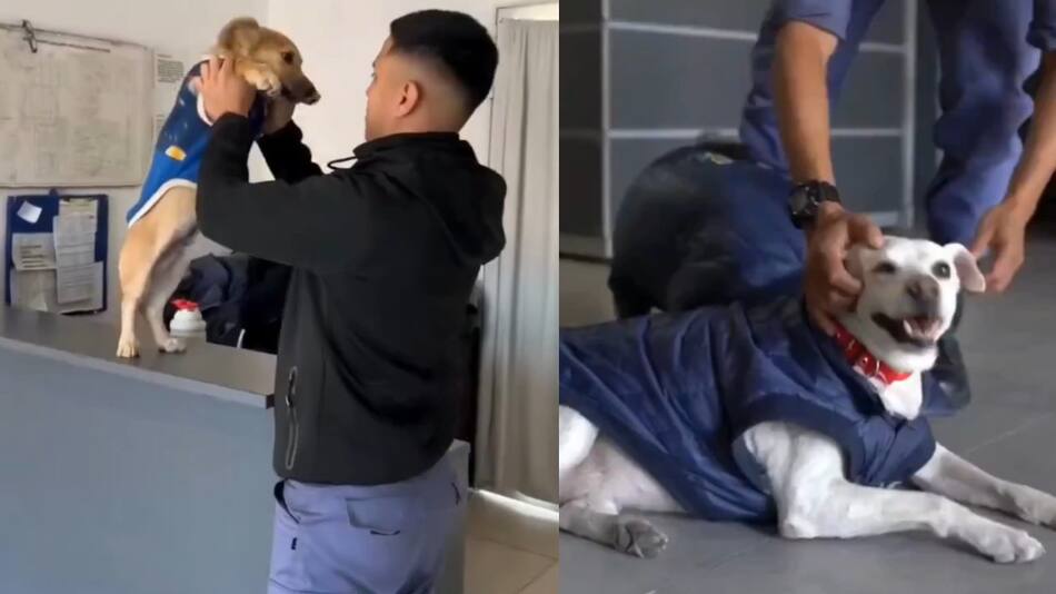La Policía de Chaco presentó a su patrulla canina. Fotos: captura video.