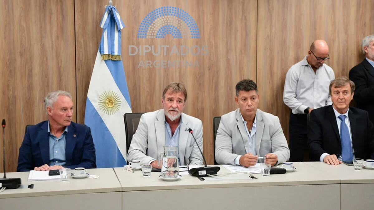 Armado de comisiones en Diputados.