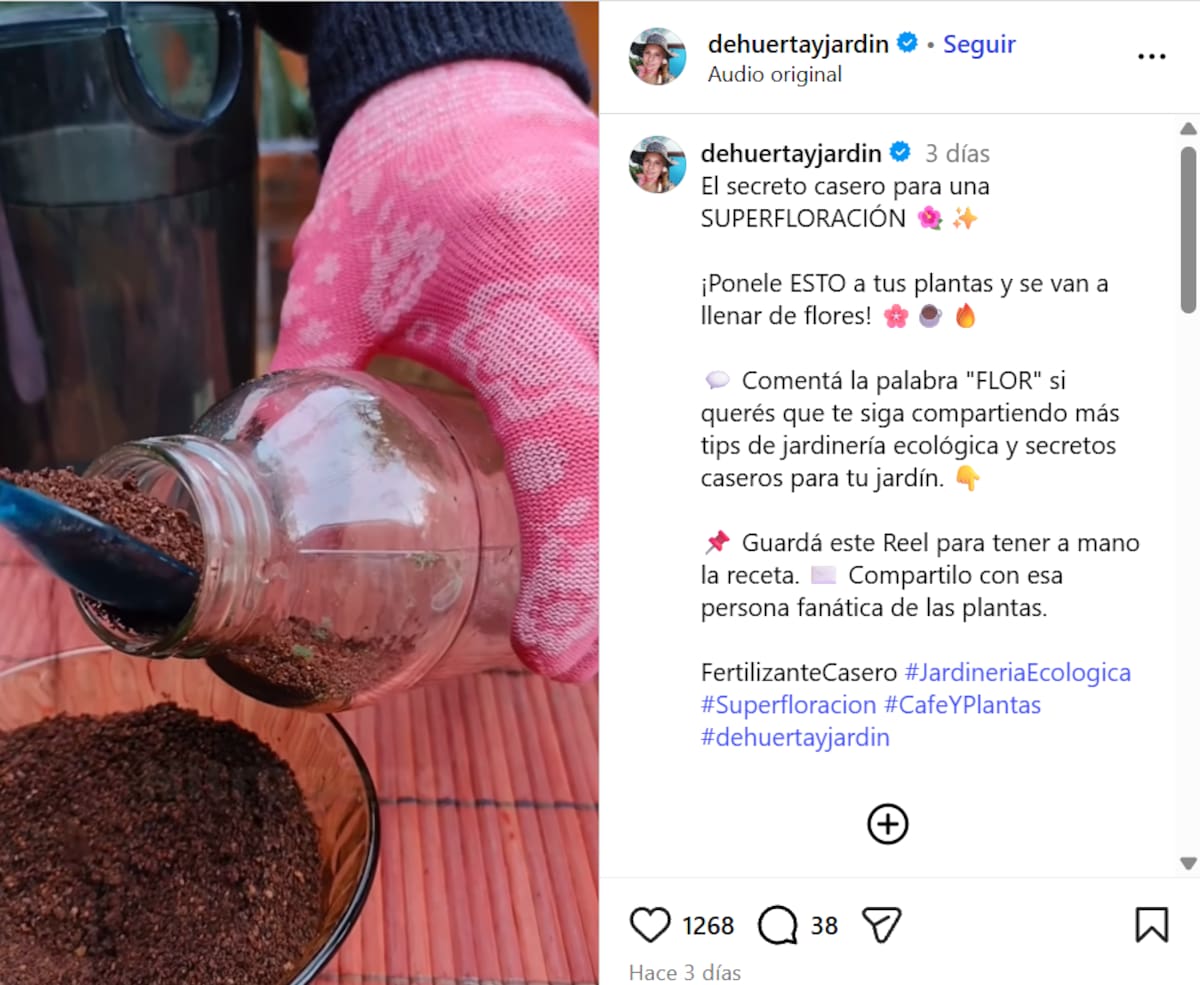 Saadia Borrajo da tips naturales para ahuyentar insectos de las plantas