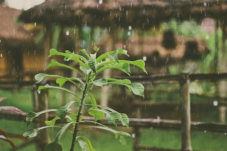 Lluvia, tormenta, agua. Foto: Unsplash