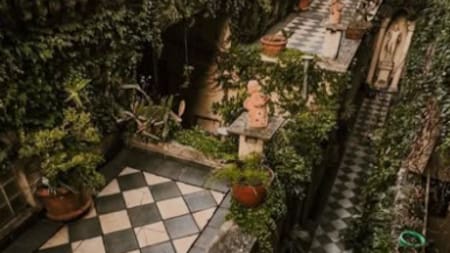 Un santuario botánico en pleno San Telmo: el bar escondido que combina historia, naturaleza y gastronomía