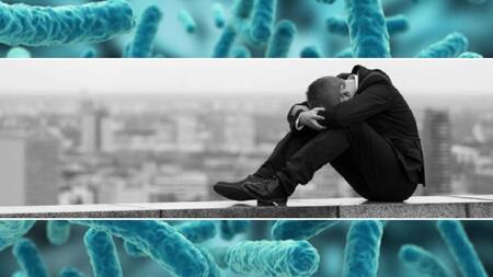 Salud, bacterias y depresión