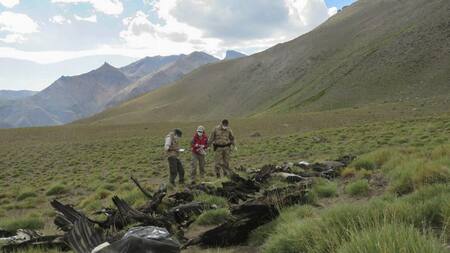 Animales envenenados en Mendoza - NA -