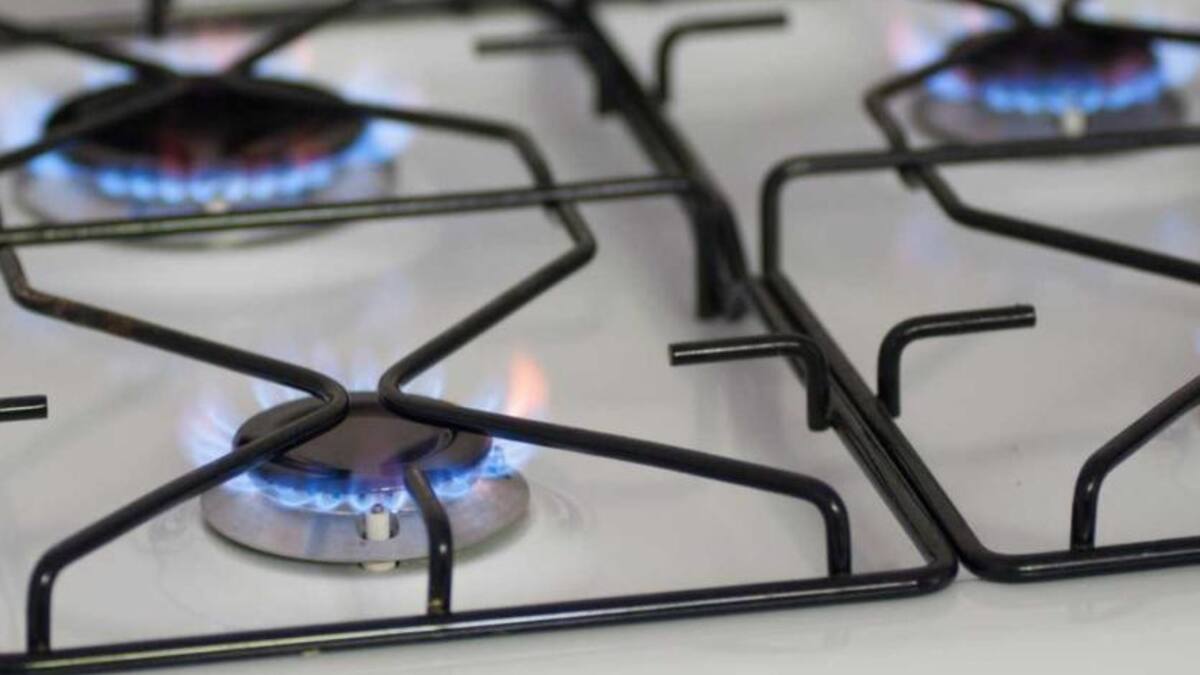 Prorrogan el plazo para pedir que se mantengan los subsidios de electricidad y gas. Foto: NA.