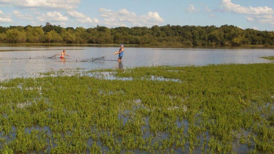 Río Uruguay - estudio Conicet