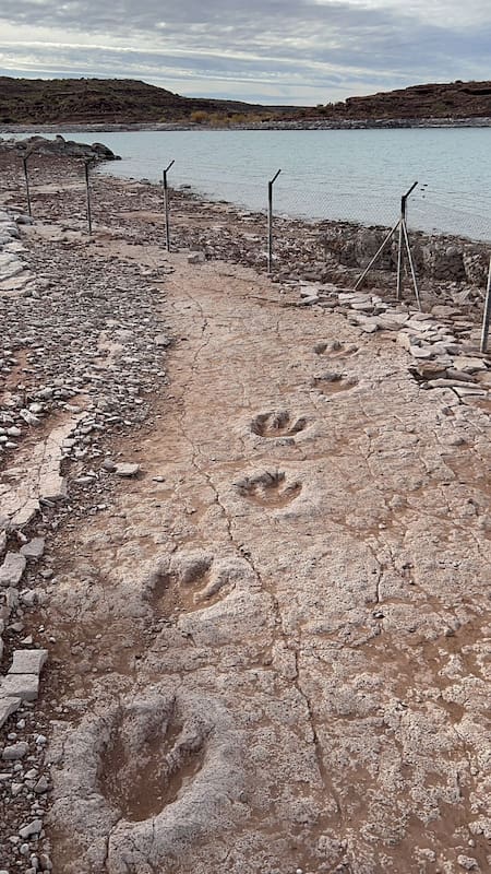 Huellas de dinosaurios en Villa el Chocón, Neuquén. Foto: Pato Daniele