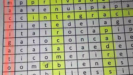 Polémico crucigrama - Macri gato - Vidal miente - Política