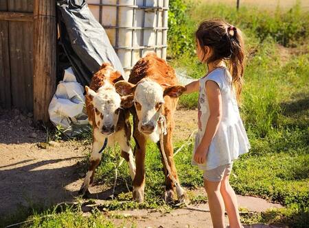Posta Laloni tiene una granja con animales para los más pequeños. Foto: Instagram @postalaloni